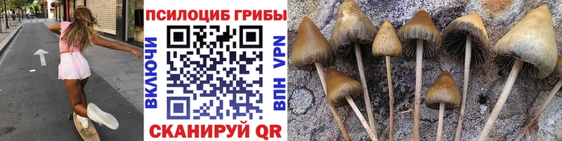 Галлюциногенные грибы мухоморы  Купить где  Лукоянов 